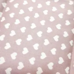 【はぎれ】綿100% 管理番号98