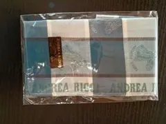ANDREA RICCI メンズ ハンカチ チェック柄