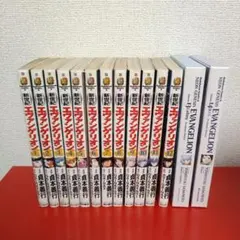 新世紀エヴァンゲリオン 全14巻　全巻セット　プレミアムエディション