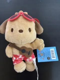 ポチャッコ ハワイ限定 日焼けポチャッコ