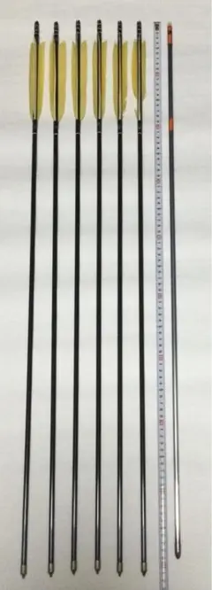 EASTON xx75 1913 95cm 弓道矢 6本矢筒セット EASTON xx75 1913 95cm 弓道矢 6本矢筒セット