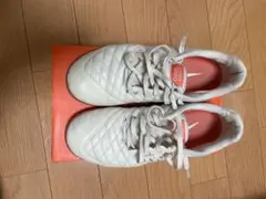 Nike ルナガト