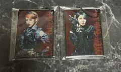 LM.C Gothic Mode Tour ロトmaya、Aiji アクキー