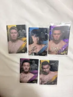 RIZIN ウエハース5枚セット