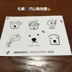 札幌円山動物園 coo-ma ステッカー 3枚セット