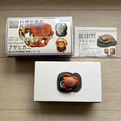 Item thumbnail for item 529f9f9b-9965-40a3-a304-dcb2a88c82b7