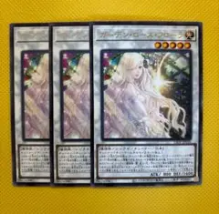 遊戯王 ガーデン・ローズ・フローラ ガーデンローズフローラ 3枚セット