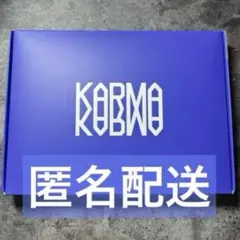 StrayKids スキズ アルバム KARMA CEREMONY VER 通常