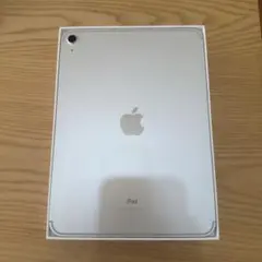 【美品】iPad 10世代　WiFi+Cellular 256G シルバー