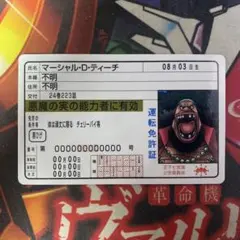 ワンピース　パロディカード　免許証風　黒ひげ　ティーチ　王下七武海