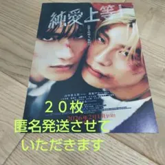 匿名発送 映画純愛上等！フライヤー20枚