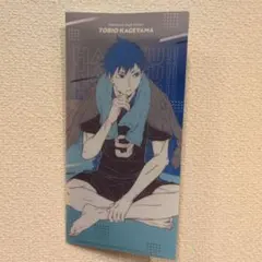 ハイキュー!! 影山飛雄 クリアファイル