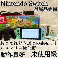 未使用級✨限定✨ニンテンドースイッチ あつまれどうぶつの森セット 箱 付属完備✨
