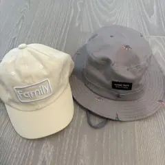 Item thumbnail for item 2f351c44-9855-4d78-9b12-0f21a0577ab6