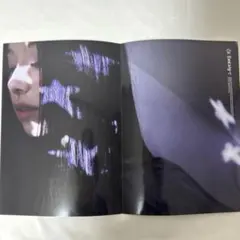 TWICE chaeyoung Lil Fantasy チェヨン ポスター