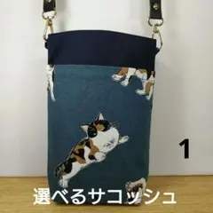 Item thumbnail for item 2e2d52b7-c59a-49a3-b04a-5827e9894a55