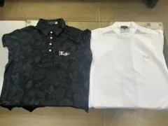 Item thumbnail for item 256df727-70ef-4e88-876d-0e10fa75aba2