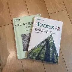 4プロセス数学Ⅱ＋B[数列　統計的な推測] 新課程　教科書傍用 4プロセス 数学II+B〔数列，統計的な推測〕 新課程 教科書傍用
