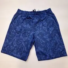 Item thumbnail for item 18d4ebfa-f201-4331-bf8f-b83c74e56cf2