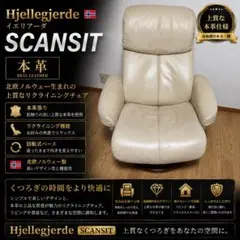 NATUZZI EDITIONS本革ラウンジチェア セージグリーンイタリアモダン