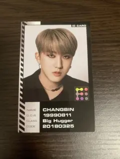 Stray Kids ODDINARY トレカ　チャンビン