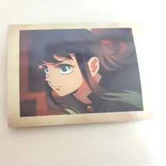 時透無一郎 ぱしゃこれ