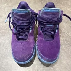 Nike LeBron NXXTGen"Summit Lake Hornets"