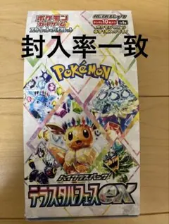 2025年最新】テラスタルフェスex boxの人気アイテム - メルカリ