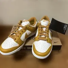 Nike Dunk Low Next Nature Curry Brown