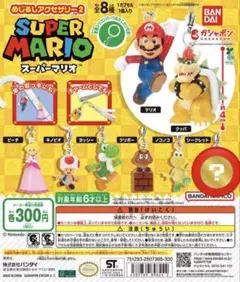 スーパーマリオ めじるしアクセサリー2 シークレット ガチャガチャ