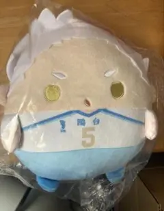 ハイキュー、ぬいくじ、C賞、星海光来