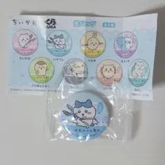 ちいかわ×くら寿司コラボ　缶バッジ　ハチワレ