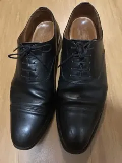 スコッチグレイン　D0008 大丸松坂屋限定モデル　25.5 E スコッチグレイン D0008 大丸松坂屋限定モデル 25.5 E - メルカリ