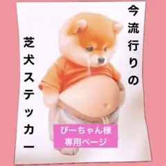 リピート続出　芝犬　ぷくぷく　シール　可愛い　癖　感覚　SNS 人気　流行り