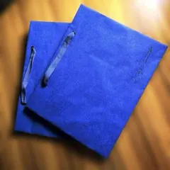 Item thumbnail for item 291f6168-398b-4225-a59c-efe72a5acf33