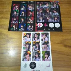 櫻坂46 サクコレ 参加賞 ステッカー ファンクラブ - メルカリ