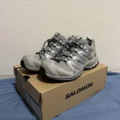 SALOMON XA PRO 3D シルバー　24.5cm