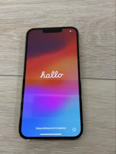 Apple iPhone13pro 1TB SIMフリー