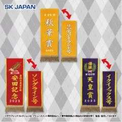 サラブレッドコレクション 優勝レイ