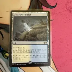 mtg フラッドファームの境界 日本語ノンフォイル