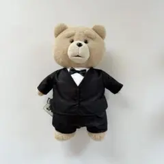 2026年最新】ted テッド ぬいぐるみコスチュームの人気アイテム - メルカリ