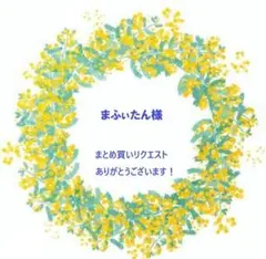 まふぃたん様 リクエスト 2点 まとめ商品