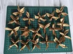 綿殻　ワタガラゴールド　木の実　１８個　ハンドメイド　花材　パーツ　ワタカラ