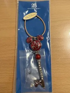 ☆ディズニー　25周年　ドリームキー　赤　鍵　キーチェーン　キーホルダー☆のサムネイル