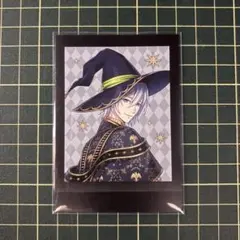 ツイステ ブルームバースデー ぱしゃこれ シルバー