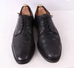 2025年最新】allen edmonds ウィングチップの人気アイテム