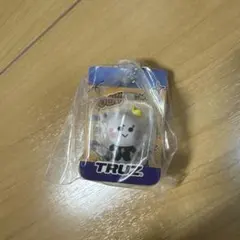 truz yochi ヨシキーホルダー TREASURE