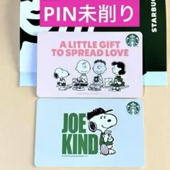 スターバックス カード PEANUTS SNOOPY 13枚　セット