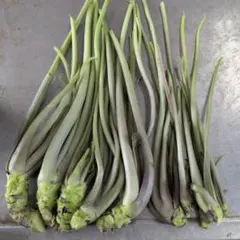 安曇野産茎わさび(400ｇ)のサムネイル