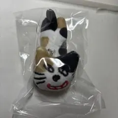 キヨ猫 C賞 シークレット